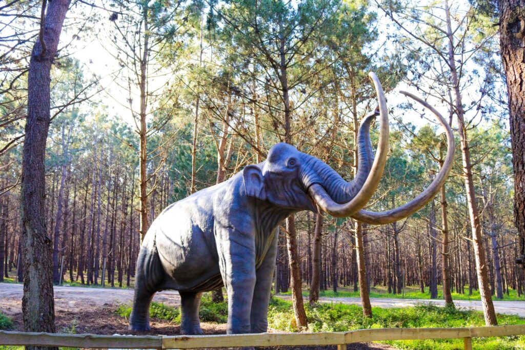 mamute-dino_lourinha_outdoor_activities_children