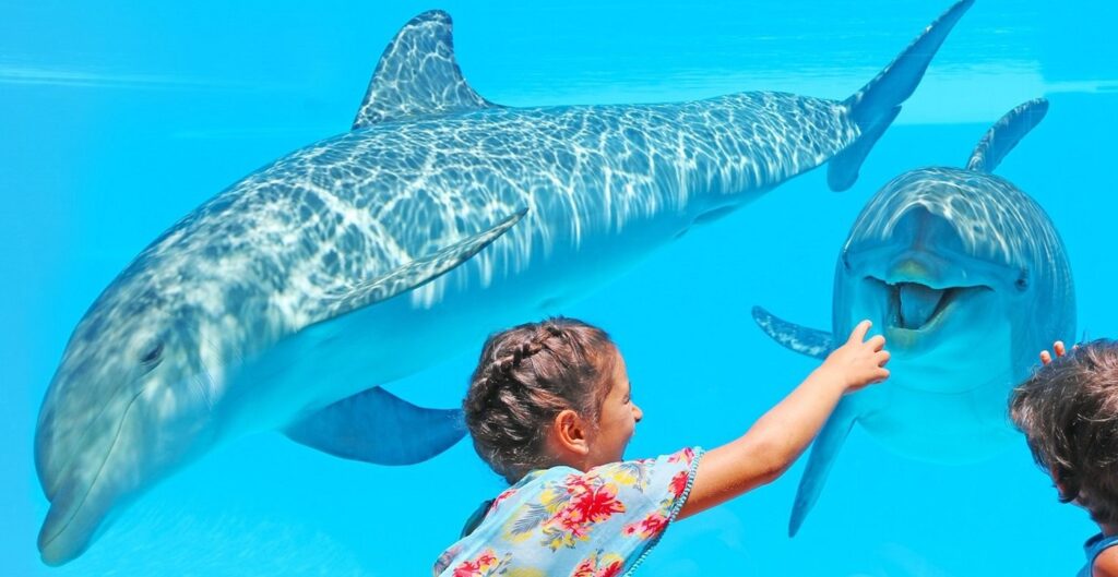 showzoomarine-_Best_Winter_Activities_Children